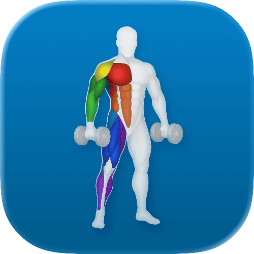 VigiGym - Workout Tracker