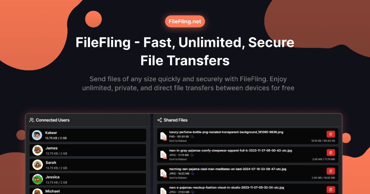 FileFling product image