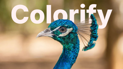 Colorify Rocks product image
