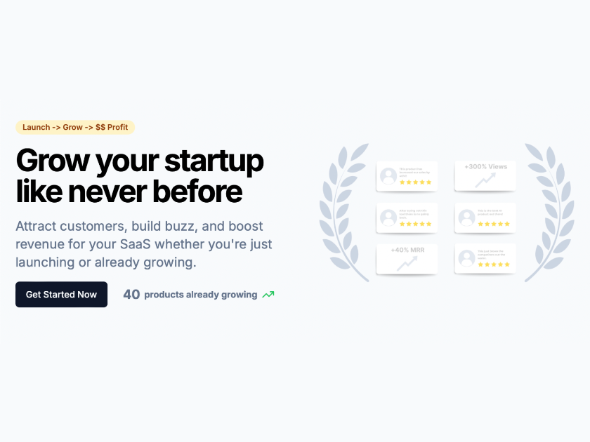SaaSCurate product image