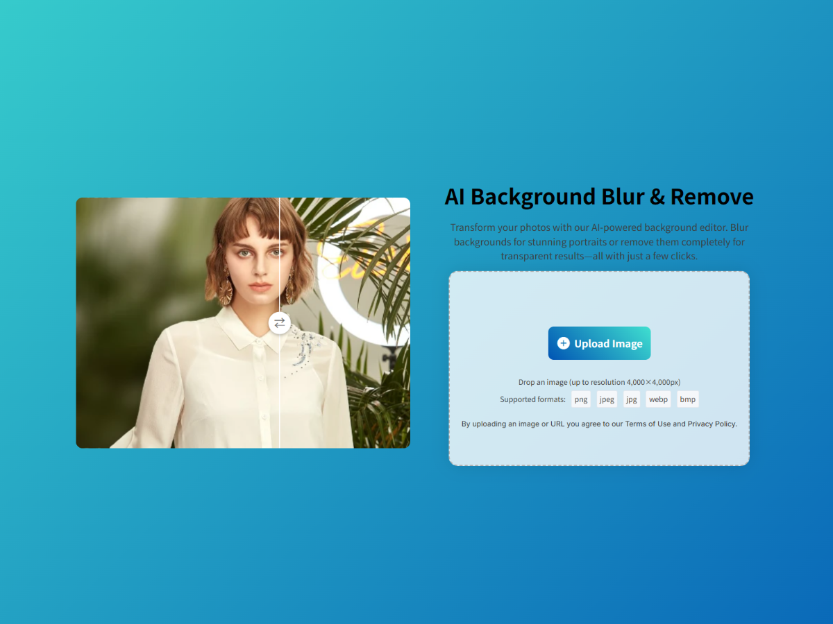 Blurbackground AI image number 01