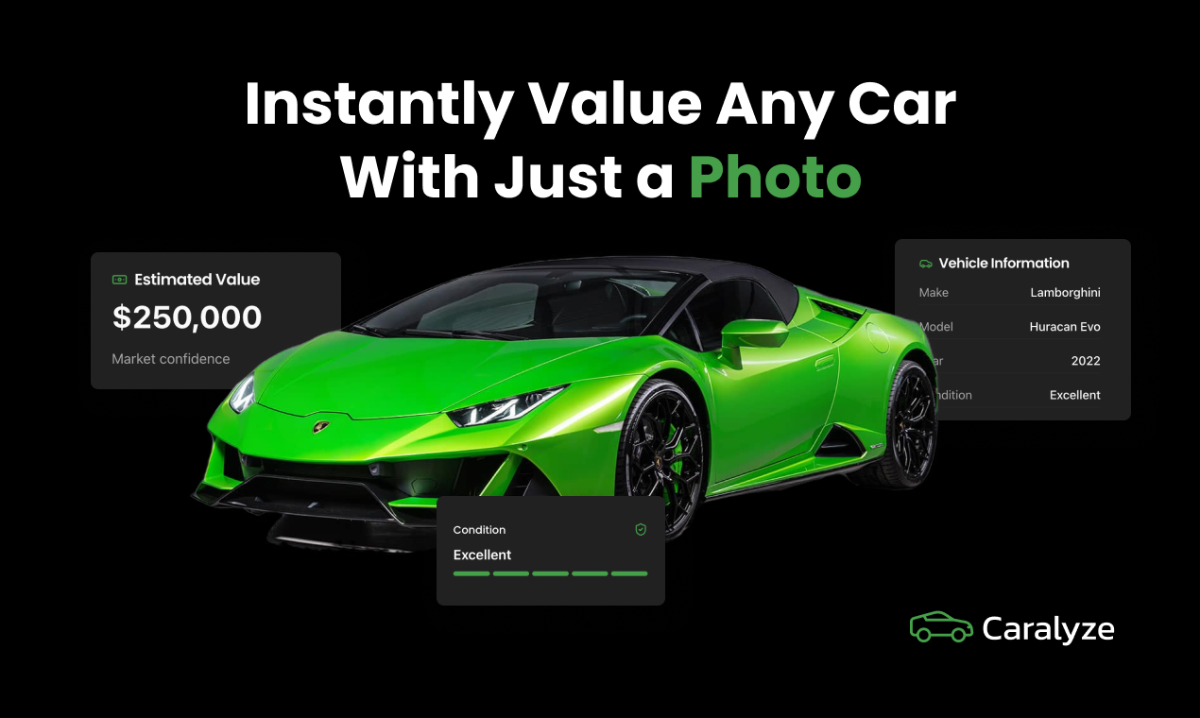 Caralyze image number 01