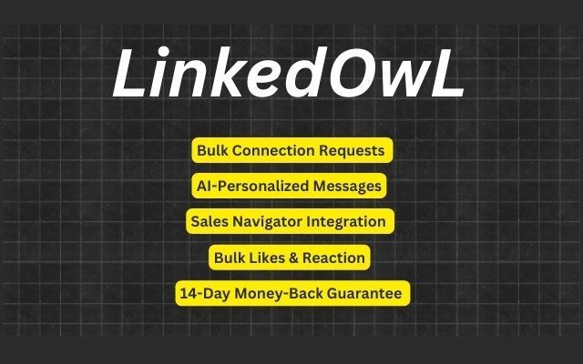 Linkedowl image number 11