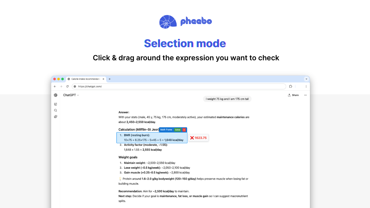 pheebo image number 11