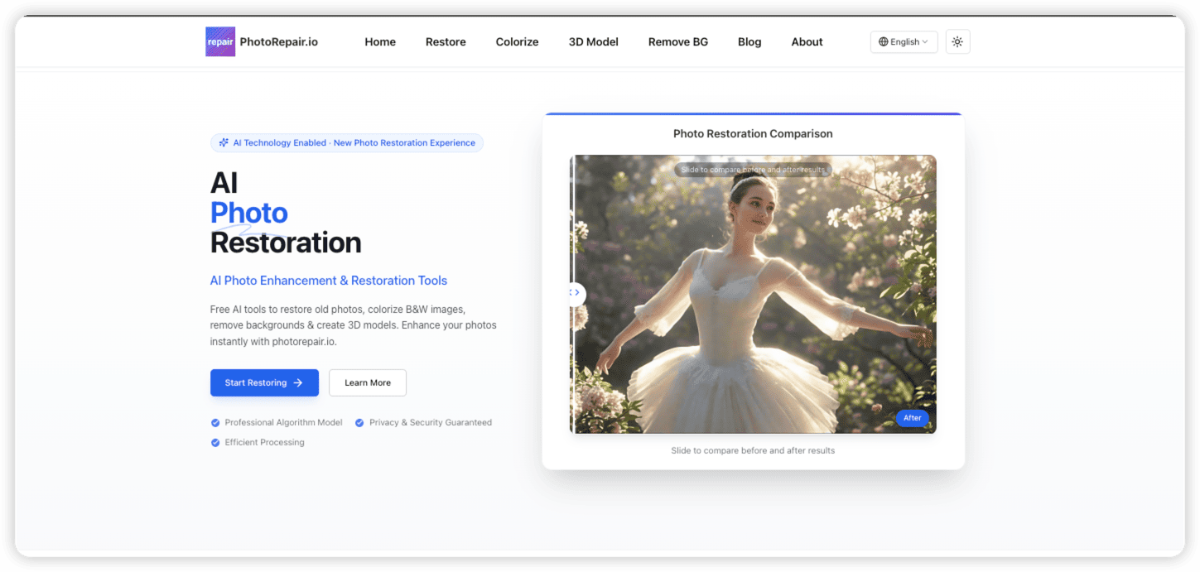 PhotoRepair product image