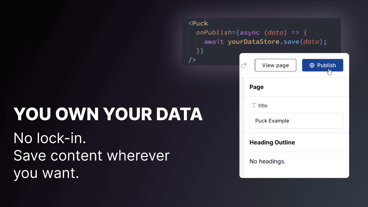 Puck image number 31