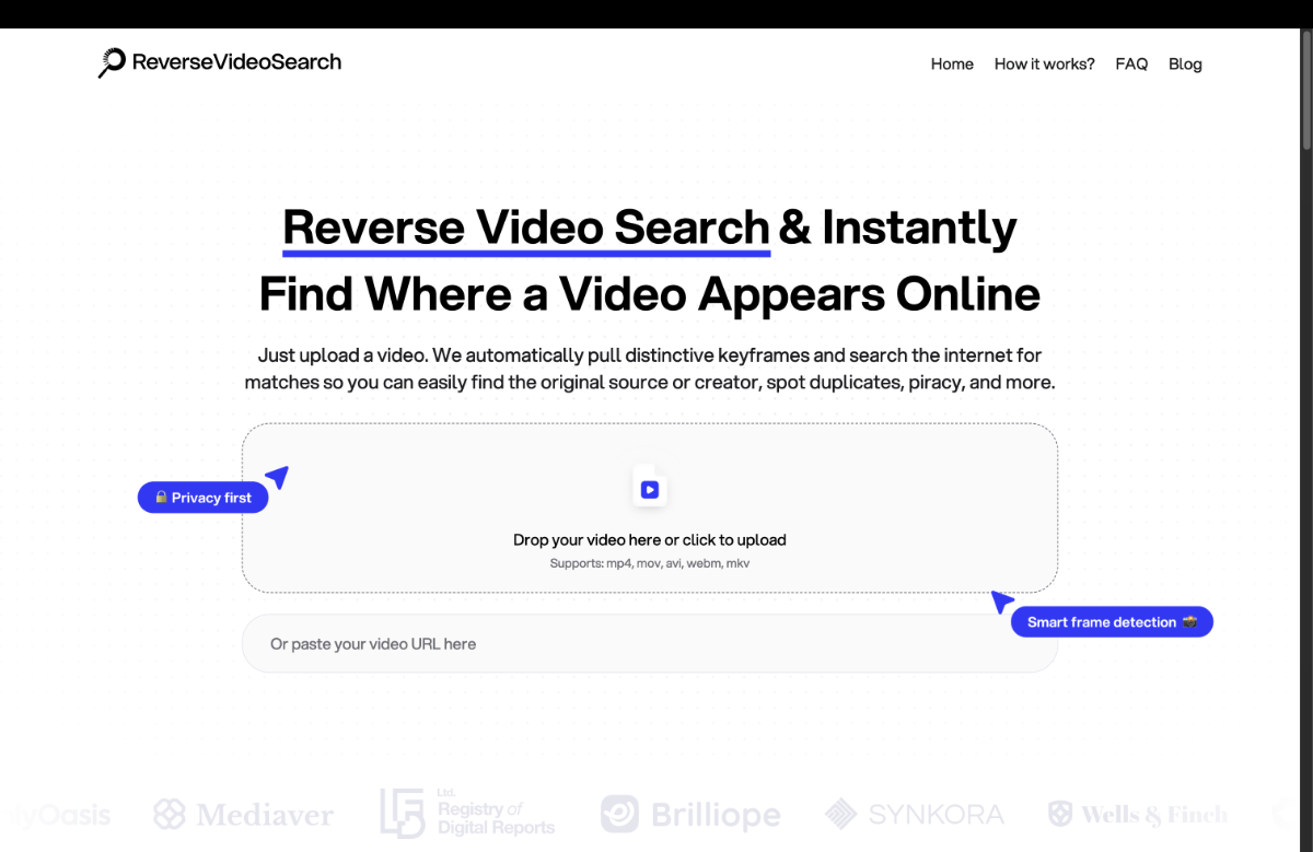 Reverse Video Search image number 11