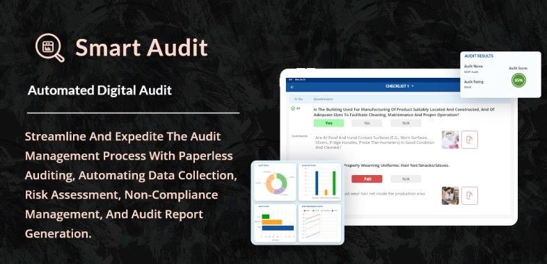 Smart Audit image number 11