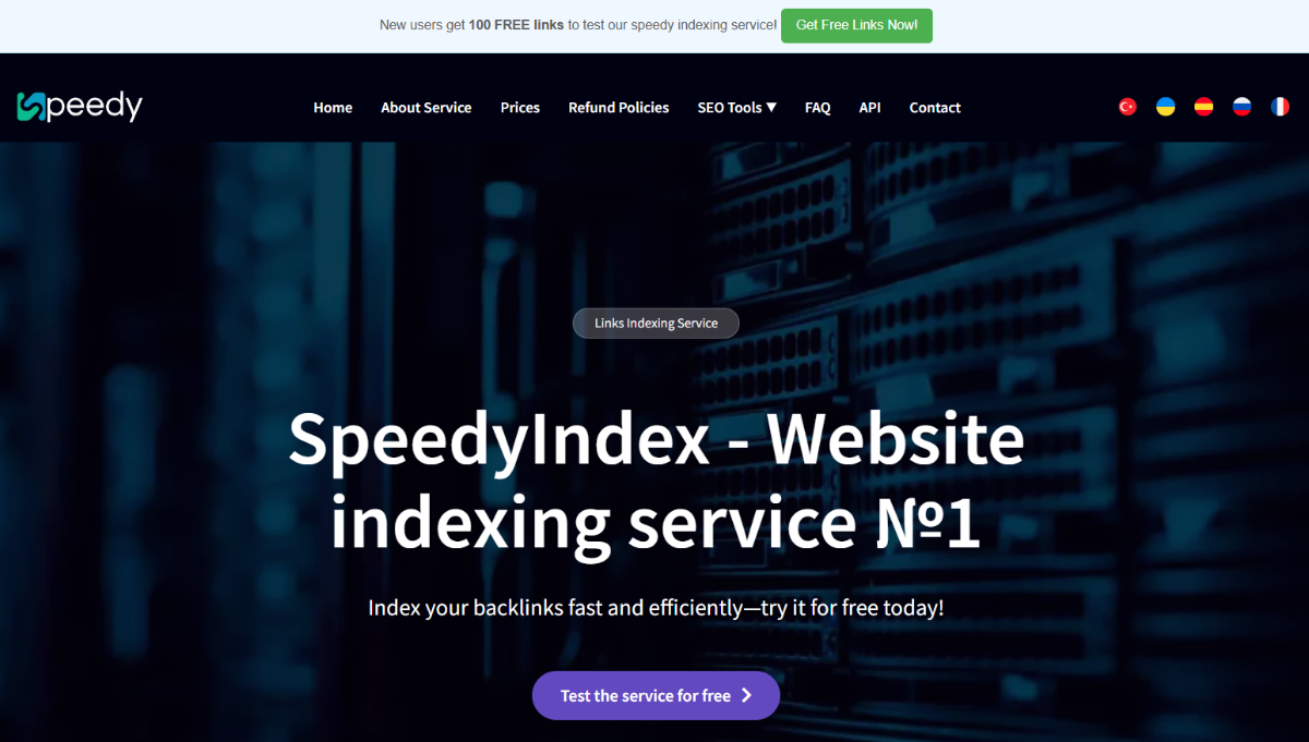 SpeedyIndex-fast indexing for SEO professionals image number 31