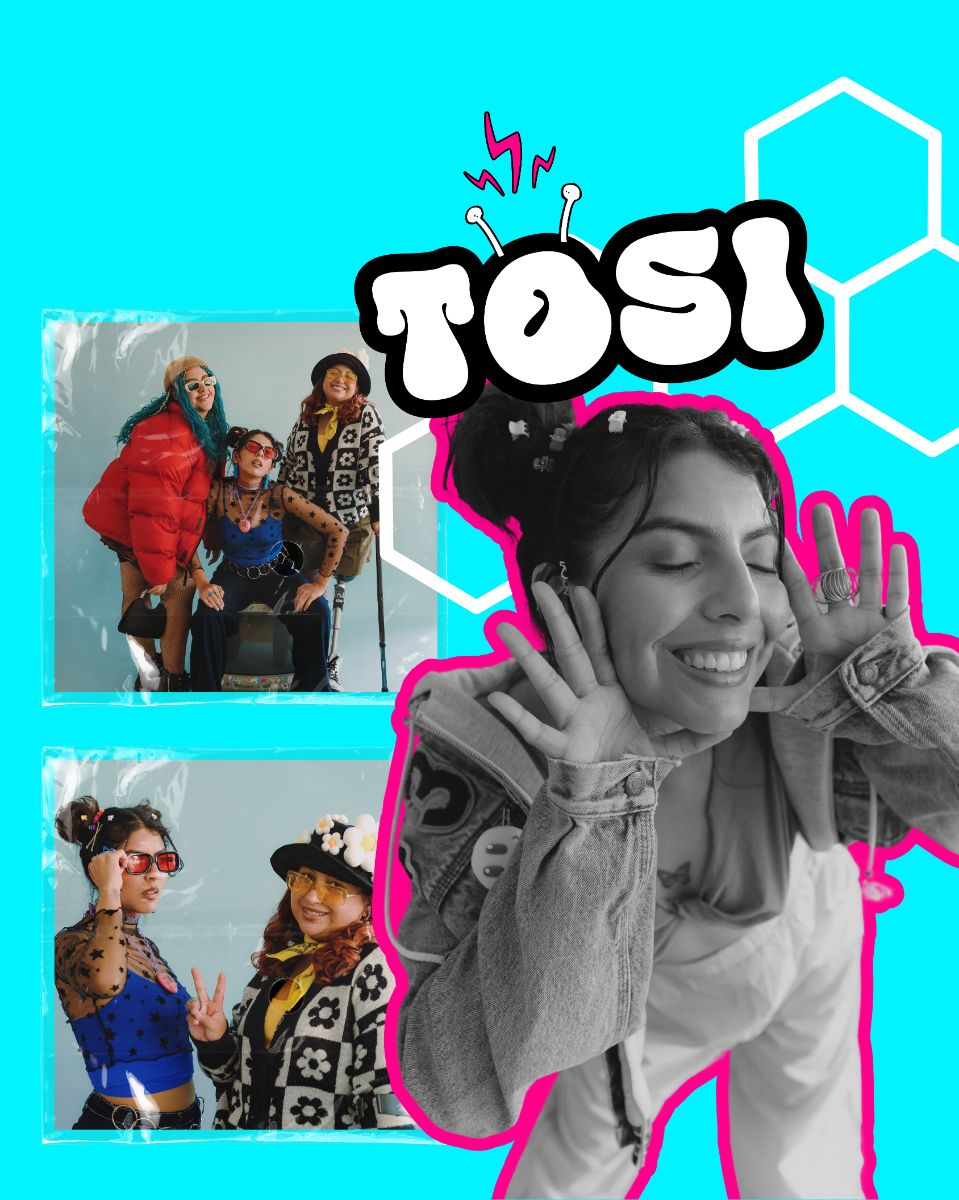 TOSI image number 11