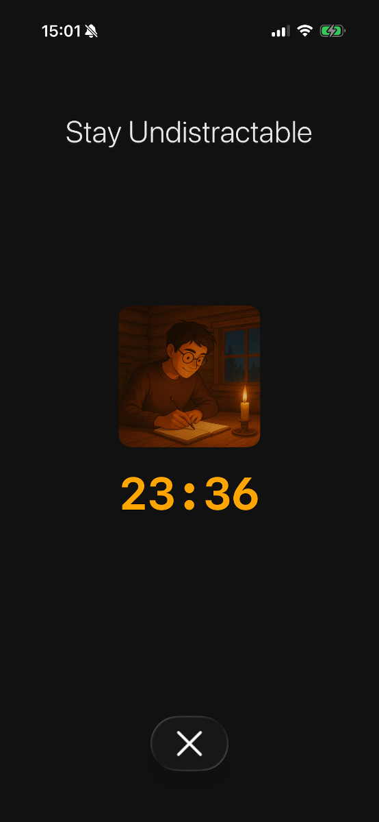 Undistractable image number 01