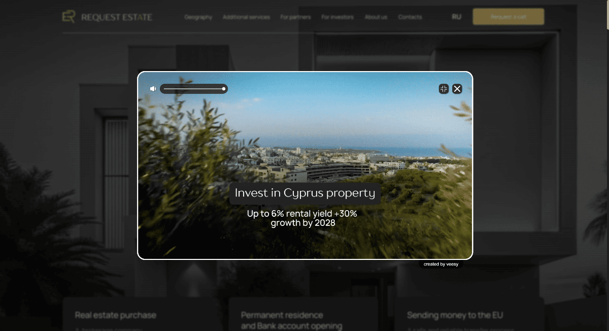 Veesy image number 01