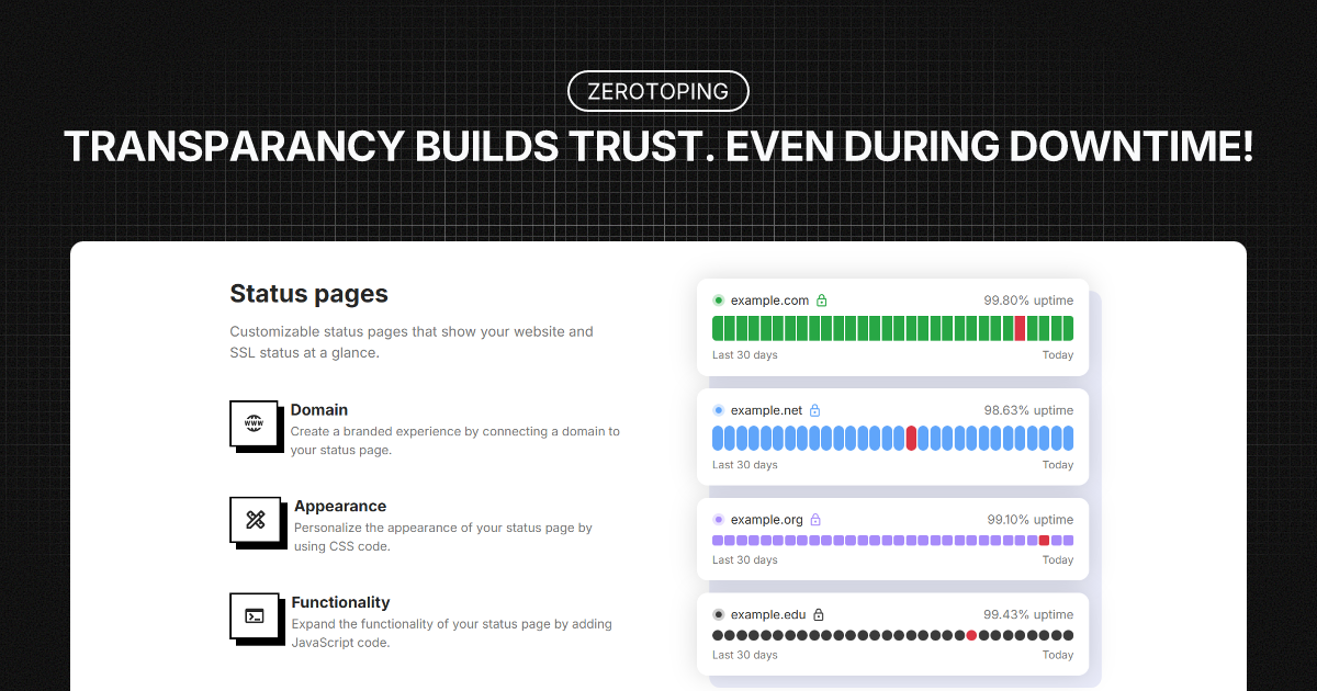 ZEROTOPING image number 11