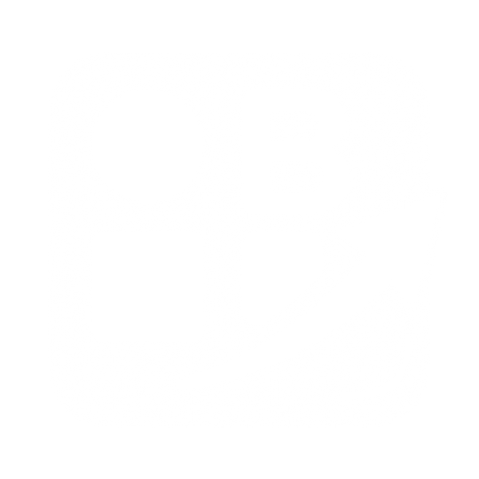 BRANDISEER image number 11